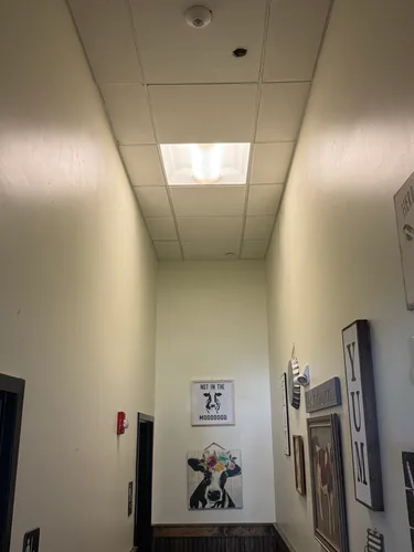 Restored drop ceiling at Ashburn VA restaurant after HouseWorks completed tile replacement