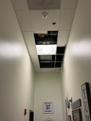 Stained drop ceiling tiles at an Ashburn VA restaurant before replacement by HouseWorks