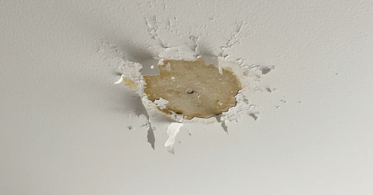 Water-damaged ceiling with peeling paint and brown staining in a Northern Virginia home — drywall insurance claim documentation guide by HouseWorks